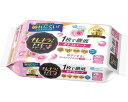 ★7/19-26 P最大27倍★【全国配送可】-キレキラ!トイレ1枚デ徹底オソウジシート ローズ 21000558 詰替10枚×2 大王製紙 JAN 4902011736823 kt399607 取寄品 住環境用品 消耗品 清掃用品-【介護福祉用具】