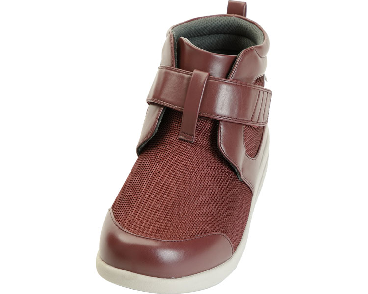 ݥȺ16ܡġ-ϥեåȡ1317 磻3L 𻺶ȡJAN 4537944157560 kt429552  ԴϢ 塼 -ڲʡѶ