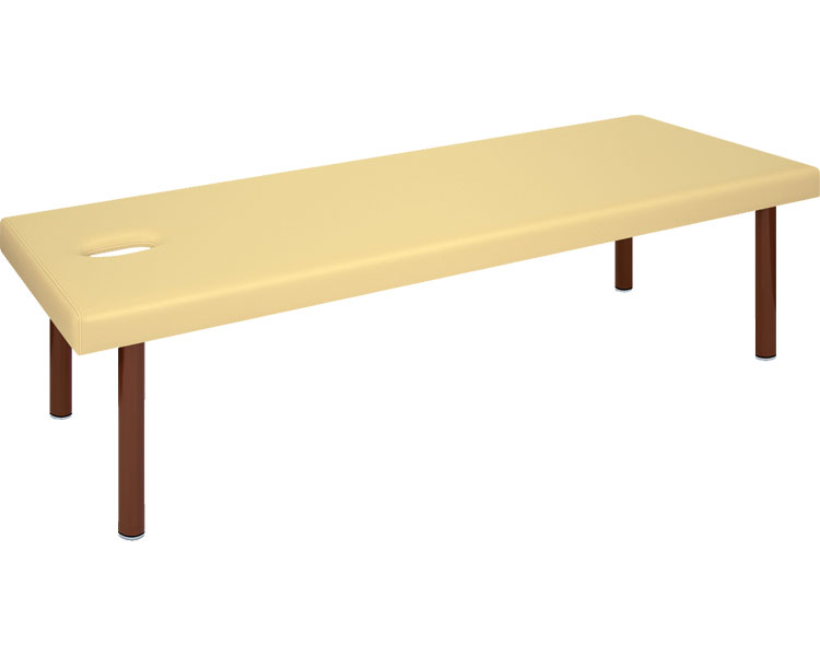 ★ポイント最大16倍★【全国配送可】-有孔DXボディベッド　TB-1211U 幅:　長:　高:　グレー 高田ベッド製作所　JAN kt431637 取寄品 医療・施設 施設用備品 診察台-【介護福祉用具】