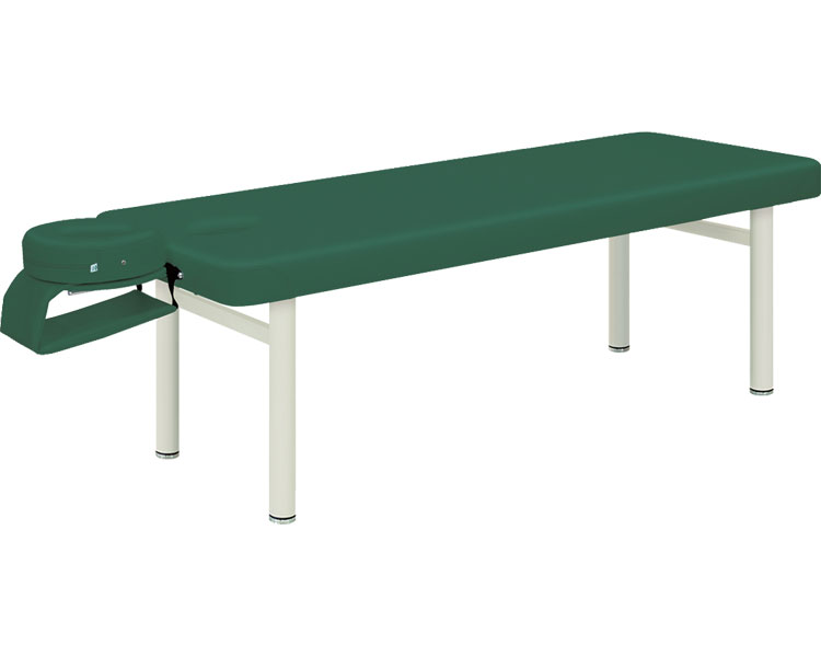 ★ポイント最大16倍★【全国配送可】-アラジン　TB-393 幅：　長：　高：　ライトグリーン 高田ベッド製作所　JAN kt435746 取寄品 医療・施設 施設用備品 診察台-【介護福祉用具】