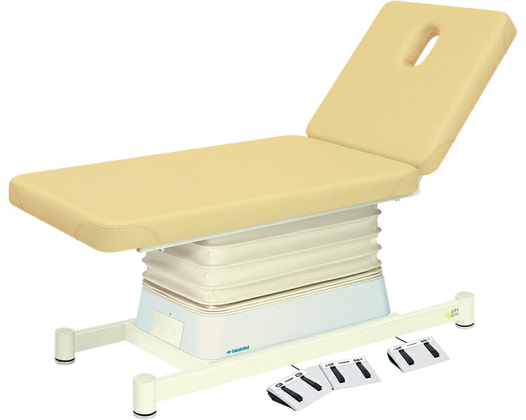 ★ポイント最大16倍★【全国配送可】-垂直電動2Eタイプ　TB-868 幅：　長：　レッド 高田ベッド製作所　JAN kt441618 取寄品 医療・施設 施設用備品 診察台-【介護福祉用具】