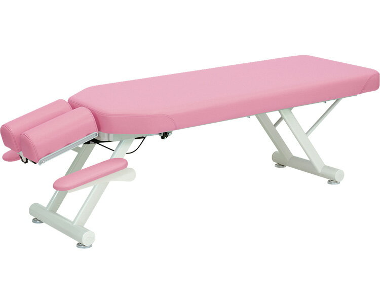 ★ポイント最大16倍★【全国配送可】-レグサス　TB-315 幅：　長：　高：　レッド 高田ベッド製作所　JAN kt447475 取寄品 医療・施設 施設用備品 診察台-【介護福祉用具】