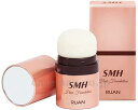 ★5/9-16 P最大27倍★【全国配送可】-SMH ヘアファンデーション 12g ライトブラウン ルアン JAN 4969972540036 kt483785 取寄品 日常生活 理美容品 (理美容品)-【介護福祉用具】(2)