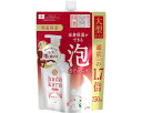 ★6/22-27 P最大27倍★【全国配送可】-hadakaraボディソープ泡デ出テ来ル詰替 750mL フローラルブーケノ香リ ライオン JAN 4903301291954 kt500090 取寄品 入浴関連 清拭剤 ボディソープ-【介護福祉用具】