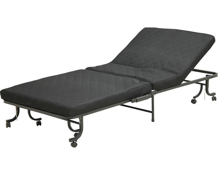 ★ポイント最大16倍★【全国配送可】-収納ベッド SSB250（BK） 大商産業　JAN 4980710054837 kt487044 取..