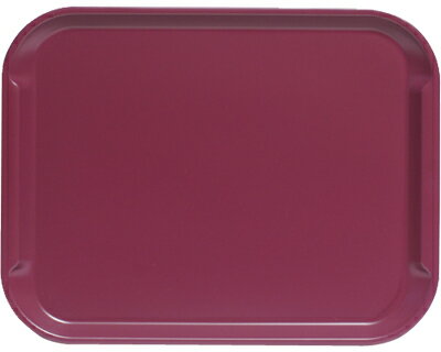 ★ポイント最大16倍★【全国配送可】-プロメイトR PET長角トレー（手付き） PMTA-3527 マットブラウン 九セラ JAN kt493685 取寄品 食事関連 食器類・カップ その他(食器類・カップ)-【介護福祉用具】
