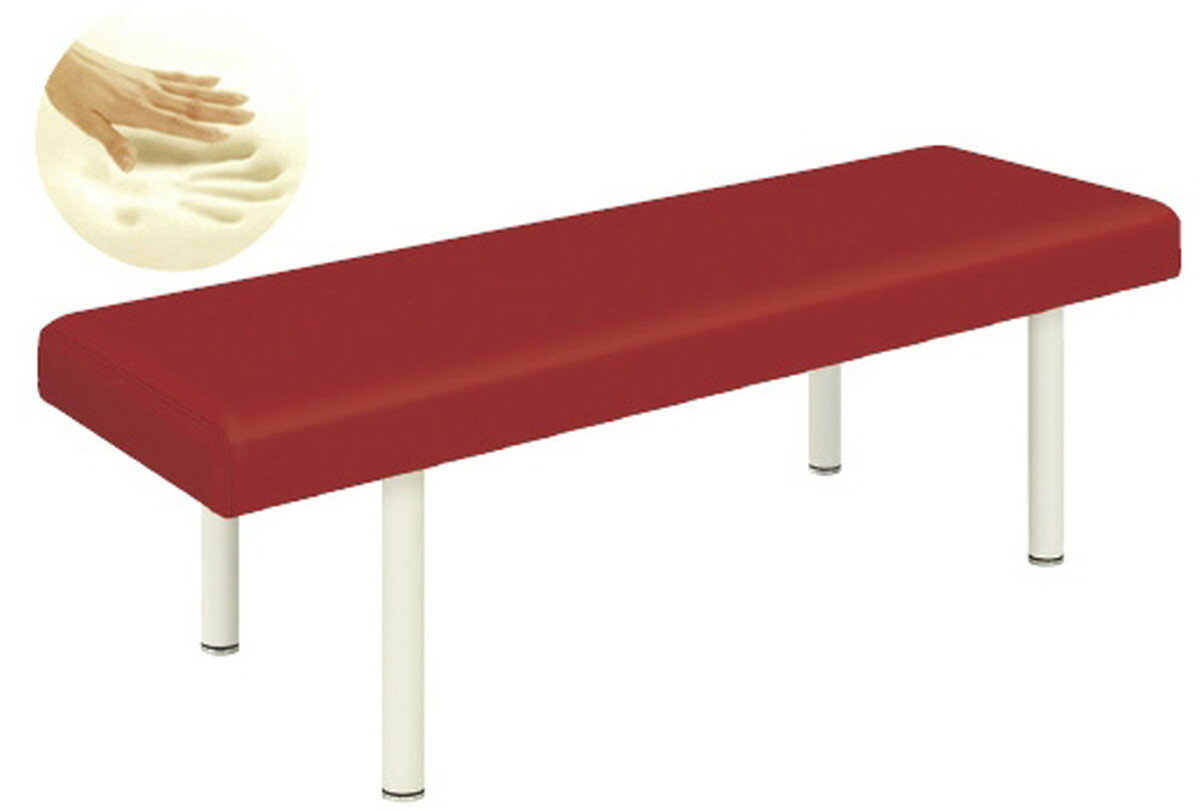 ★2/4-10 P最大27倍★【送料無料】-診察台（DXスリーパー）　　　　　　 TB-994(60X180X50CM) 品番 my23-6915-0007 1入り-【MY医科器機】JAN