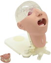 ★ポイント最大16倍★【全国配送可】-模擬残渣 11408-010 品番 my24-6476-10-- 1入り-【MY医科器機】JAN(4)