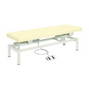 ★7/19-26 P最大27倍★【送料無料】-電動診察台(電動ハイローベッド) TB-912(W70XL180CM) 品番 my20-3741-0013 1入り...