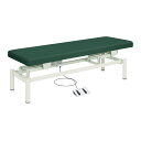 ★7/19-26 P最大27倍★【送料無料】-電動診察台(電動ハイローベッド) TB-912(W65XL190CM) 品番 my20-3741-0315 1入り...