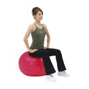 ★ポイント最大16倍★【全国配送可】-ボディボール45 H7260 品番 my25-2059-00-- 1入り-【MY医科器機】JAN 451889125875...