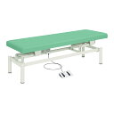 ★7/19-26 P最大27倍★【送料無料】-電動診察台(電動ハイローベッド) TB-912(W60XL190CM) 品番 my25-3536-0105 1入り...