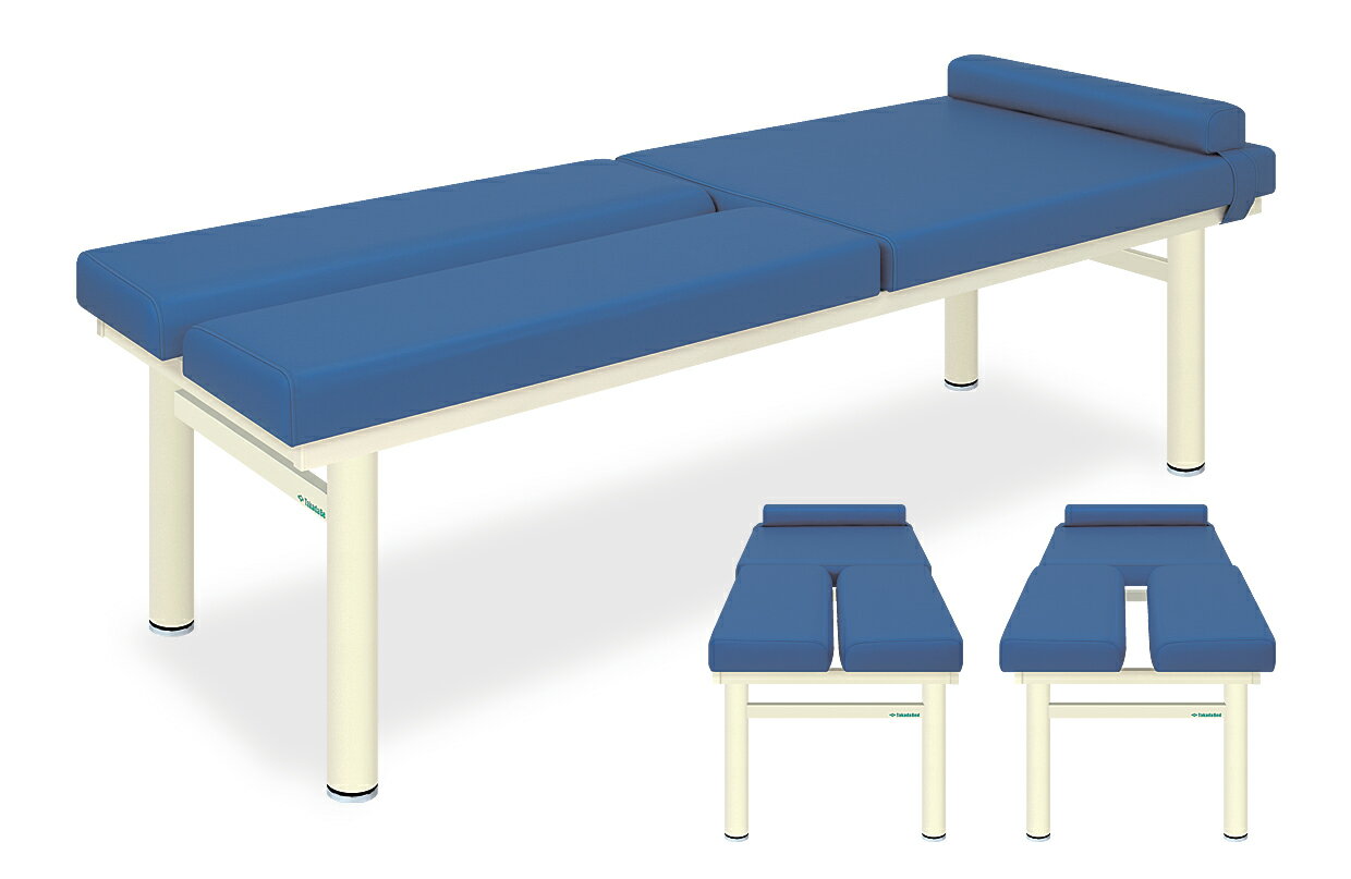 ★ポイント最大16倍★【送料無料・サイズ・色選択可】-アクチベッド　デラックスベッドシリーズ　品番【TB-812】　-【代引き不可】【高田ベッド】