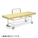 ★ポイント最大16倍★【送料無料・