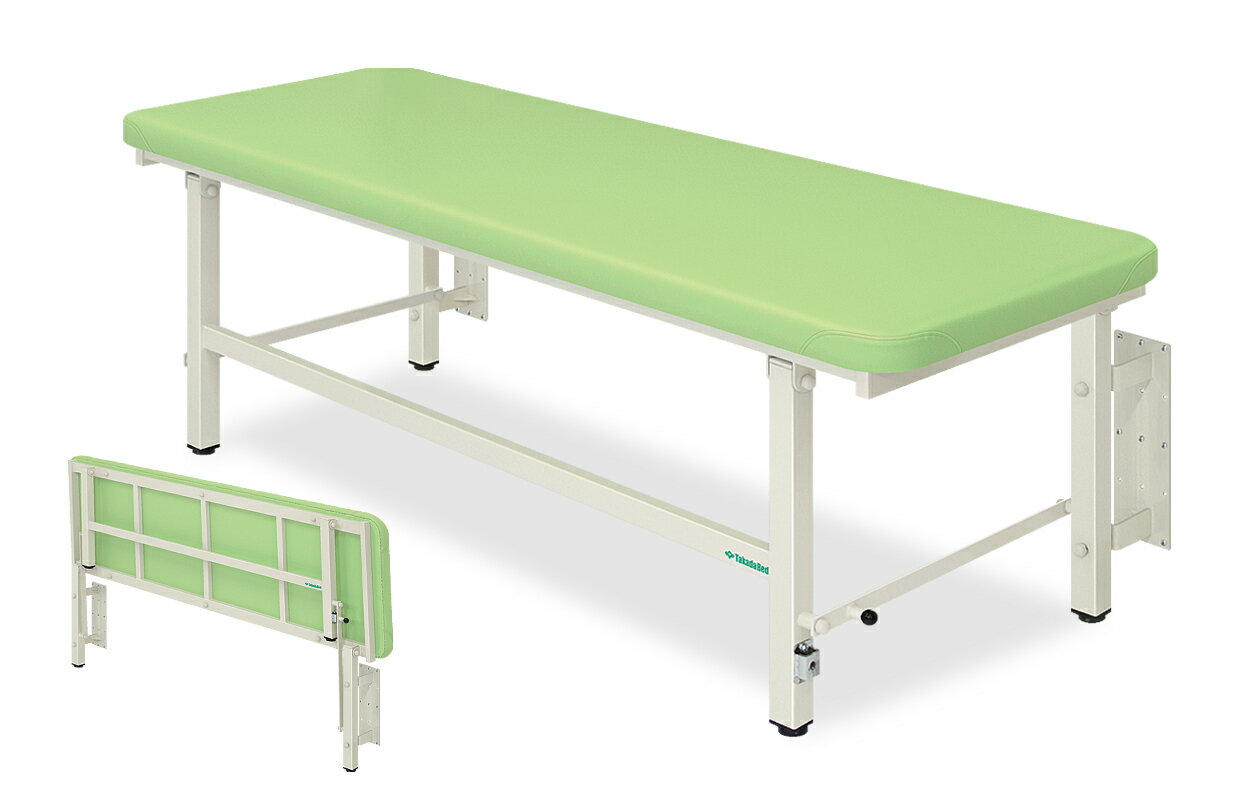 ★6/4-11 P最大27倍★【送料無料・サイズ・色選択可】-はねあげベッド　エクストラシリーズ　品番【TB-1039】　-【代引き不可】【高田ベッド】