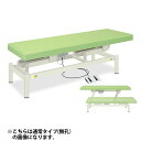★ポイント最大16倍★【送料無料・サイズ・色選択可】-有孔電動ハイストローク 電動昇降台シリーズ 品番【TB-1060U】 -【代引き不可】【高田ベッド】