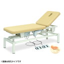 ★ポイント最大16倍★【送料無料・サイズ・色選択可】-ロメオ 電動昇降台シリーズ 品番【TB-283】 -【代引き不可】【高田ベッド】(4)