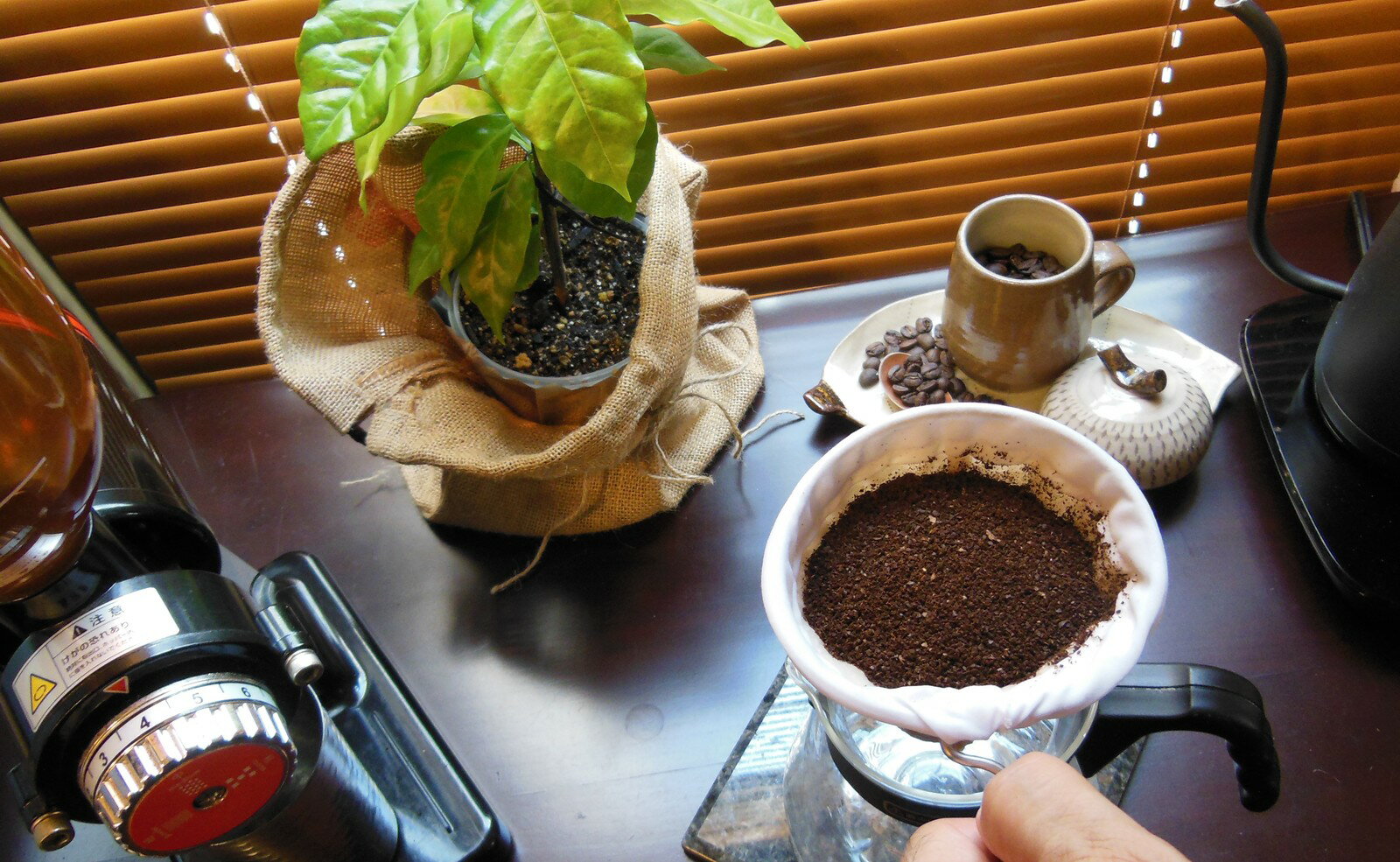 還元水素水で洗ったレギュラーコーヒー200gセット【中挽き】 コロンビア・スプレモ コーヒー 香り高い コーヒー豆