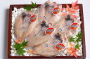 のどぐろ干物セット(中) のどぐろ 干物 詰め合わせ セット 干物セット 送料無料 ノドグロ 干物ギフト のどぐろ干物 ノドグロ干物 アカムツ ひもの 日本海 ...