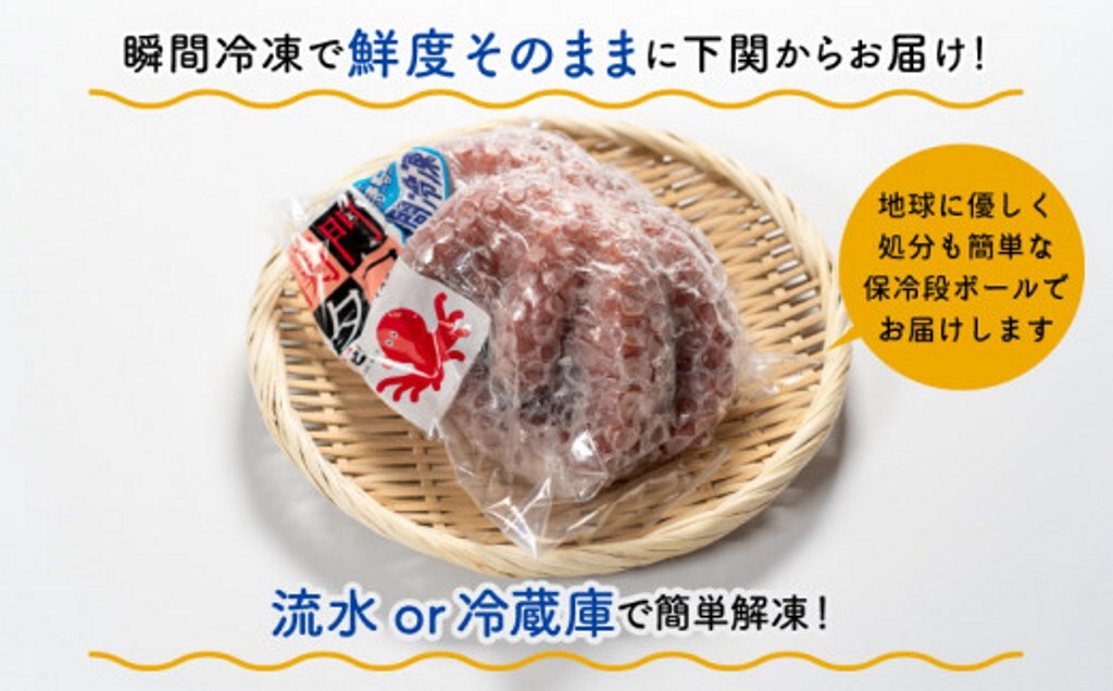 関門タコ丸ッと1杯 ゆでだこ 刺身 唐揚げ お中元 お歳暮 贅沢 天然 下関 関門海峡 たこ 唐揚げのサムネイル