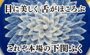 国産とらふく料理セット3人前 とらふぐ 下関 とらふぐ刺身 とらふぐ刺し 贅沢 とらふく トラフグ 年末年始 ふぐ グルメ ギフト ふぐ刺し ふぐ刺身 河豚 フグ刺し ふぐ刺 ふぐ料理 ふぐ料理セット フグの刺身 冷凍ふく お取り寄せ お取り寄せグルメ 送料無料