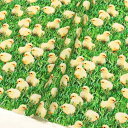 生地 輸入生地 USAプリント生地 ぴよぴよひよこ ヒヨコ柄 かわいい 動物柄 鳥柄 リアル TimeLess Treasures タイムレストレジャー STELLA ステラ 巾約110cm (最低単位30cm〜10cm単位の切り売り)(3)