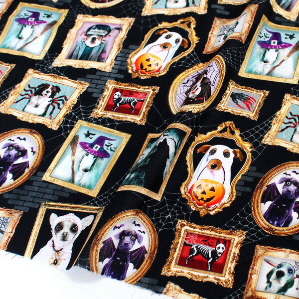 SALE ͢  BKϸϥTimelessTreasures USAץ (ñ30cm10cmñ̤)