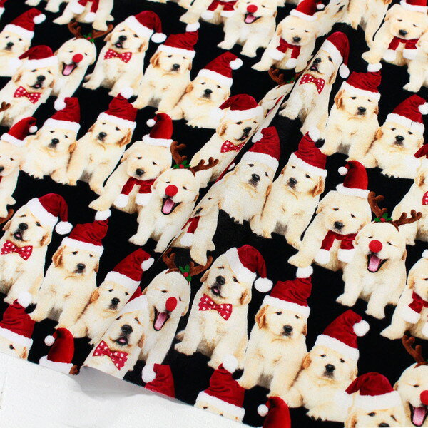 SALE ͢  BKϸTimelessTreasures USAץ (ñ30cm10cmñ̤)