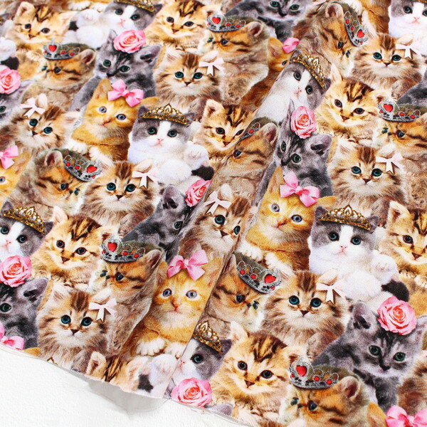 SALE ͢  Ҥ᤭礦ǭTimelessTreasures USAץ (ñ30cm10cmñ̤)