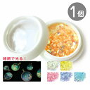 レジン ネイル ジェルネイル ラメ 蓄光パウダー 0.7g 1個
