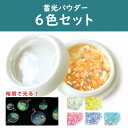 レジン ネイル ジェルネイル ラメ 蓄光パウダー ラメパウダー 6色セット