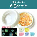 レジン ネイル ジェルネイル ラメ 蓄光パウダー ラメパウダー 6色セット レジン セット レジンパーツ ビーズアンドパーツ アクセサリーパーツ 初心者 封入 パウダー キラキラ ホワイト イエロー オレンジ ピンク パープル ブルー シャカシャカ