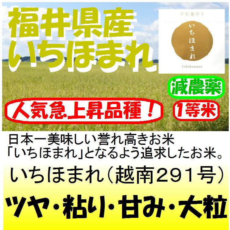 福井県産いちほまれ（減農薬）新米30年産1等米5kg
