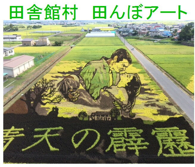 青森県田舎館村産青天の霹靂(減農薬)新米29年産1等米・特A米5kg