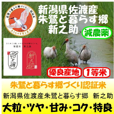 新潟県佐渡産朱鷺と暮らす郷　新之助（減農薬）29年産1等米30kg玄米