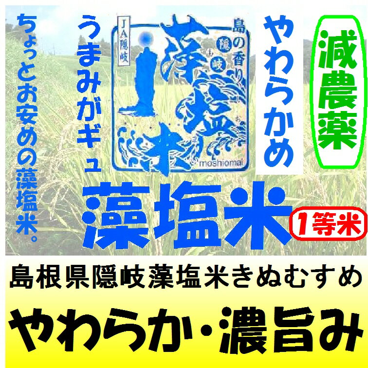 お試し米2合（300g）×2島根県隠岐藻塩米きぬむすめ（減農薬）令和3年産1等米・特A米全国送料無料！！ネコポス便（ポスト投函）