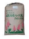 石見高原ハーブ米島根県産きぬむすめ（減農薬）令和2年産1等米25kg玄米