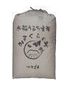 長野県産　風さやか令和5年産1等米25kg玄米