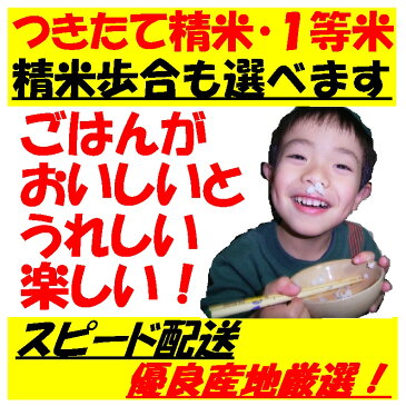 宮城県登米産ササニシキ（減農薬）新米30年産1等米5kg