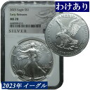 2023年 NGC MS70 イーグル銀貨 アメリカ シルバーイーグル 1オンス タイプ2 アーリーリリース 米国 1ドル銀貨 高鑑定品 American Silver Eagle Early Releases モダンコイン 鑑定済みコイン 地金型銀貨 コイン 鑑定 貨幣 通貨 現物資産