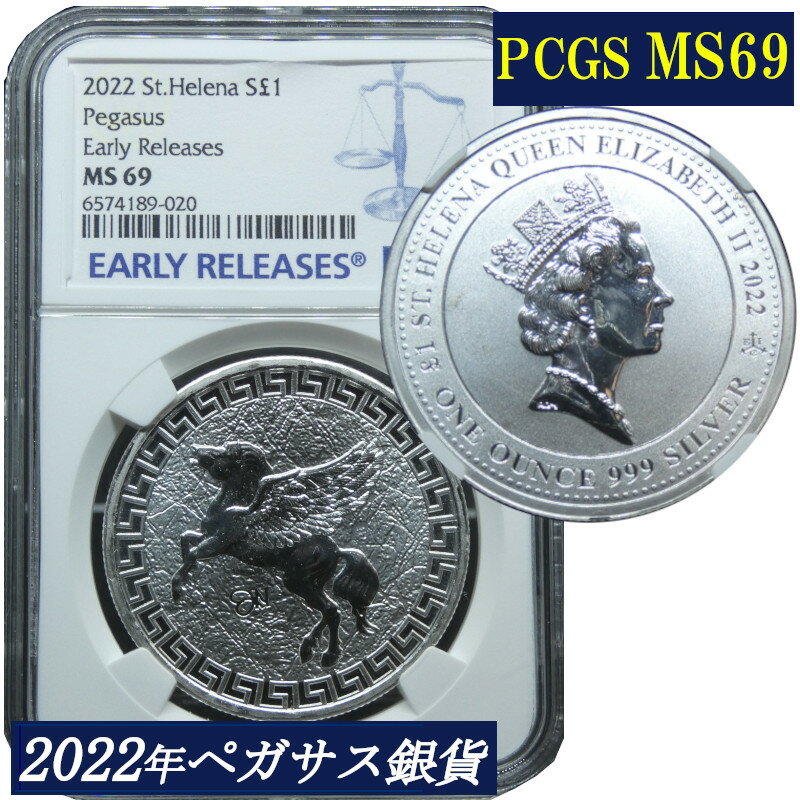 楽天市場】ngc スラブの通販