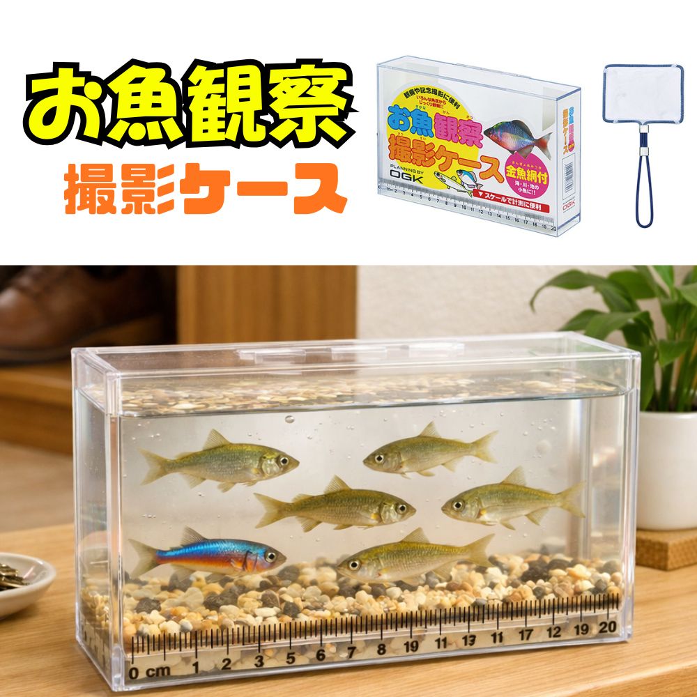 お魚観察撮影ケース 金魚網付 水槽に入れるだけで簡単観察 撮影 稚魚 メダカ 金魚 エビ 水草チェックに最適 透明度高いクリアケース 水換え 選別 繁殖管理に便利