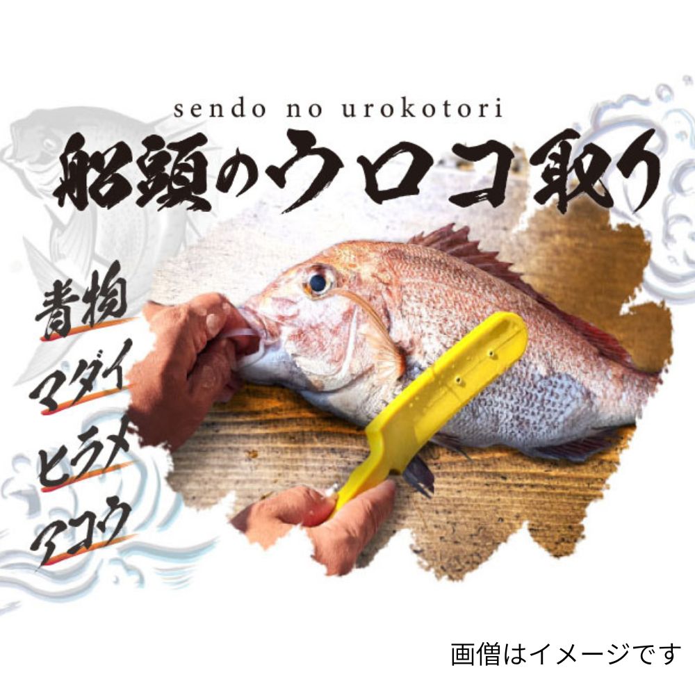 ���� ��Ƭ�Υ�������� �֥�å� ��Ĺ26cm