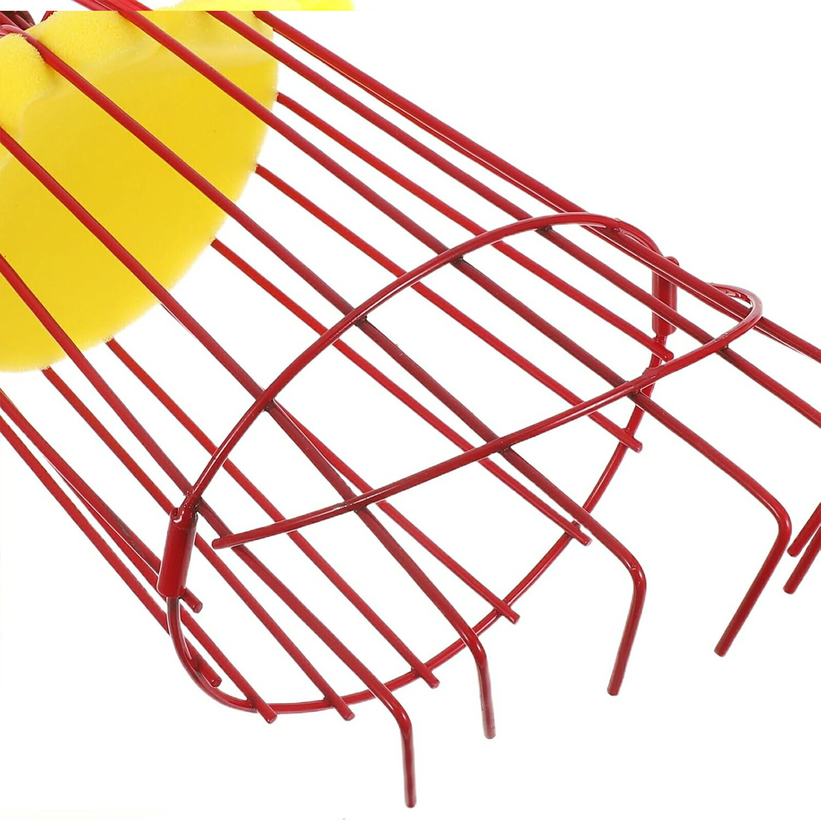 �ե롼�ĥԥå����μ��ϥХ����åȡ��ե롼�Ĥμ��ϤΤ���Υե롼�ĥϡ��٥����ΰ��� (2�ѥå�) ZBD