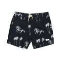 DUVIN(ドゥービン) / 街履きボードショーツ 水陸両用 短パン / HORSES BOARDSHORTS - BLK / DBS7000 / メンズ スイムショーツ スウィム..