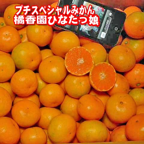 【予約受付商品】【産地直送】橘香園ひなたっ娘みかん【特甘】プチスペシャルマルチみかん【赤秀】2S玉およそ80〜90個入り。およそ5kg入り。