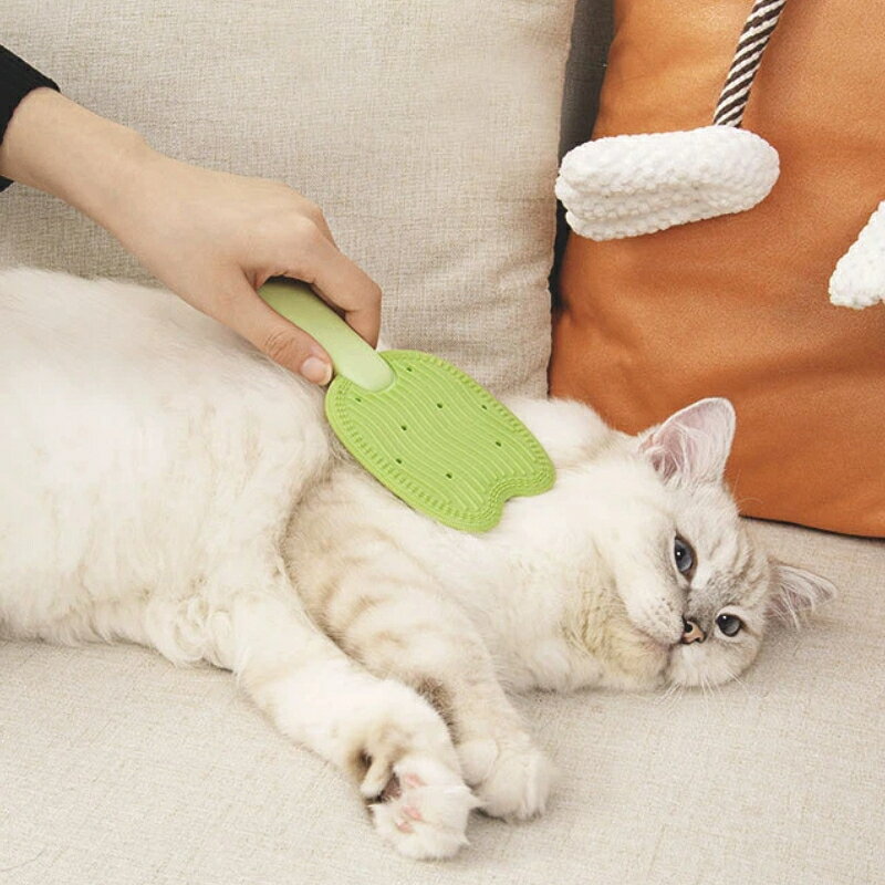 tutatuのペットブラシ 猫ブラシ 両面ブラシ 抜け毛取り グルーミングブラシ マッサージブラシ クリーナー 長毛 短毛 換毛期 お手入れ 浮き毛除去 猫犬兼用｜アングル3