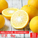 みかん 甘夏 4kg f甘夏04 家庭用 2箱ご購入でもう1箱おまけ フレッシュつちやま 吉田みかん 愛媛 吉田 宇和島 青果 果物 甘夏 あまなつ ミカン 蜜...