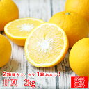 みかん 甘夏 2kg f甘夏02 家庭用 2箱ご購入でもう1箱おまけ フレッシュつちやま 吉田みかん 愛媛 吉田 宇和島 青果 果物 甘夏 あまなつ ミカン 蜜...
