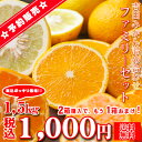 【f 1.5】【予約販売】吉田 みかん 詰め合わせ ファミリ...
